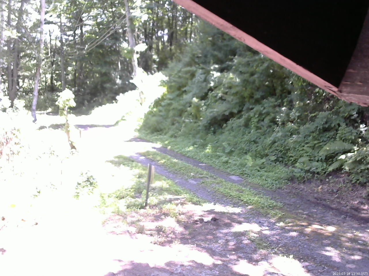 長野県菅平高原 ゆたか山荘 東側(坂下) 2025/07/19 11:30