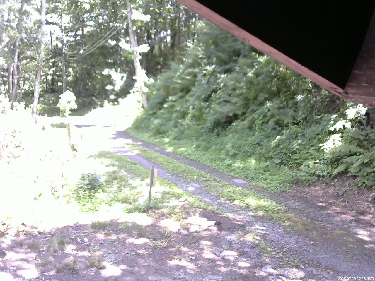 長野県菅平高原 ゆたか山荘 東側(坂下) 2025/07/19 12:15