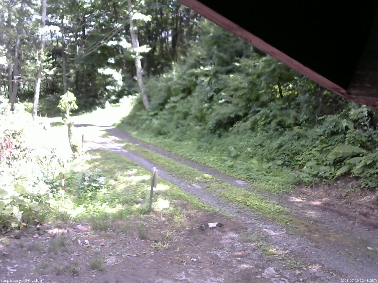 長野県菅平高原 ゆたか山荘 東側(坂下) 2025/07/19 12:45