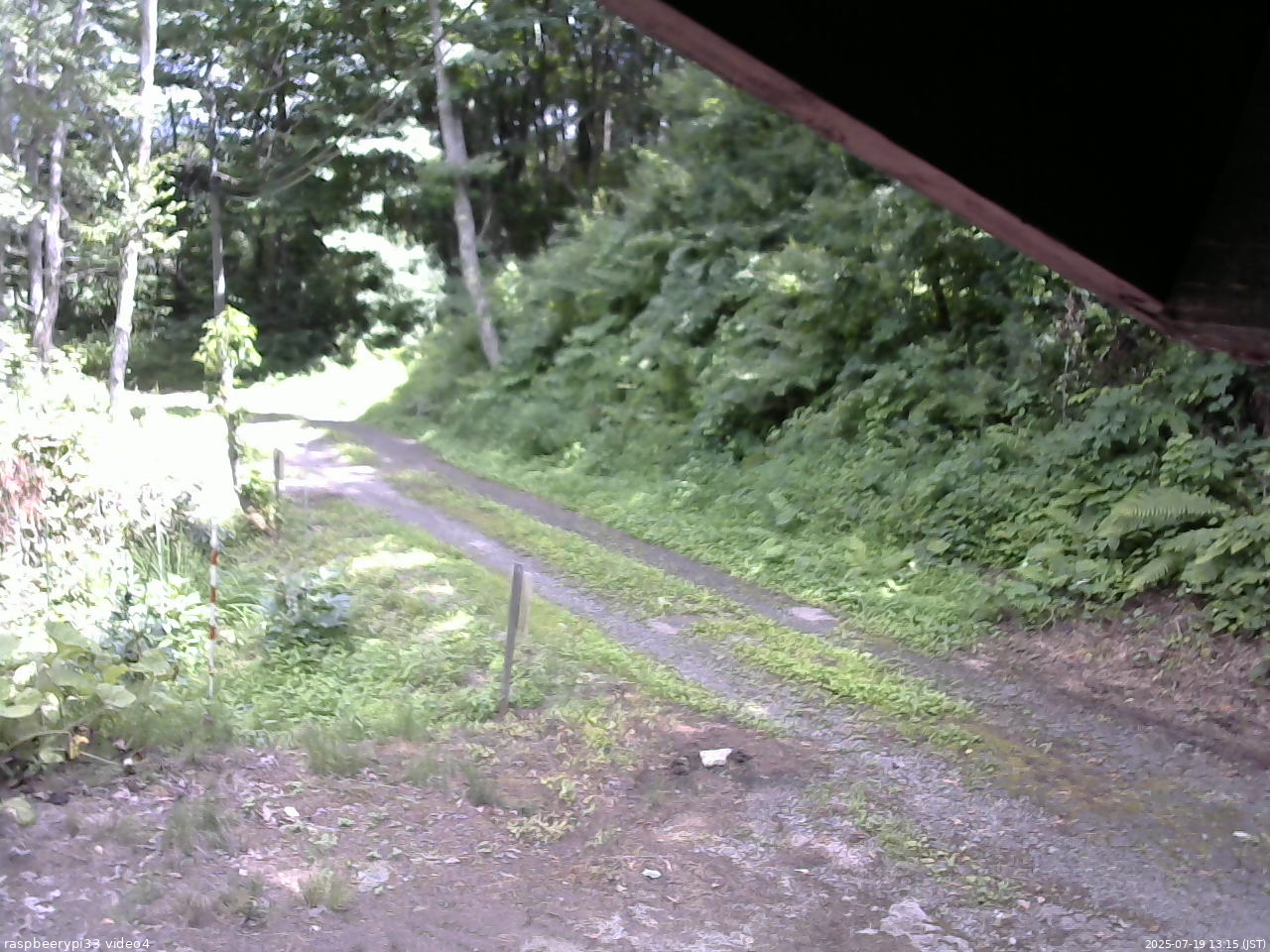 長野県菅平高原 ゆたか山荘 東側(坂下) 2025/07/19 13:15