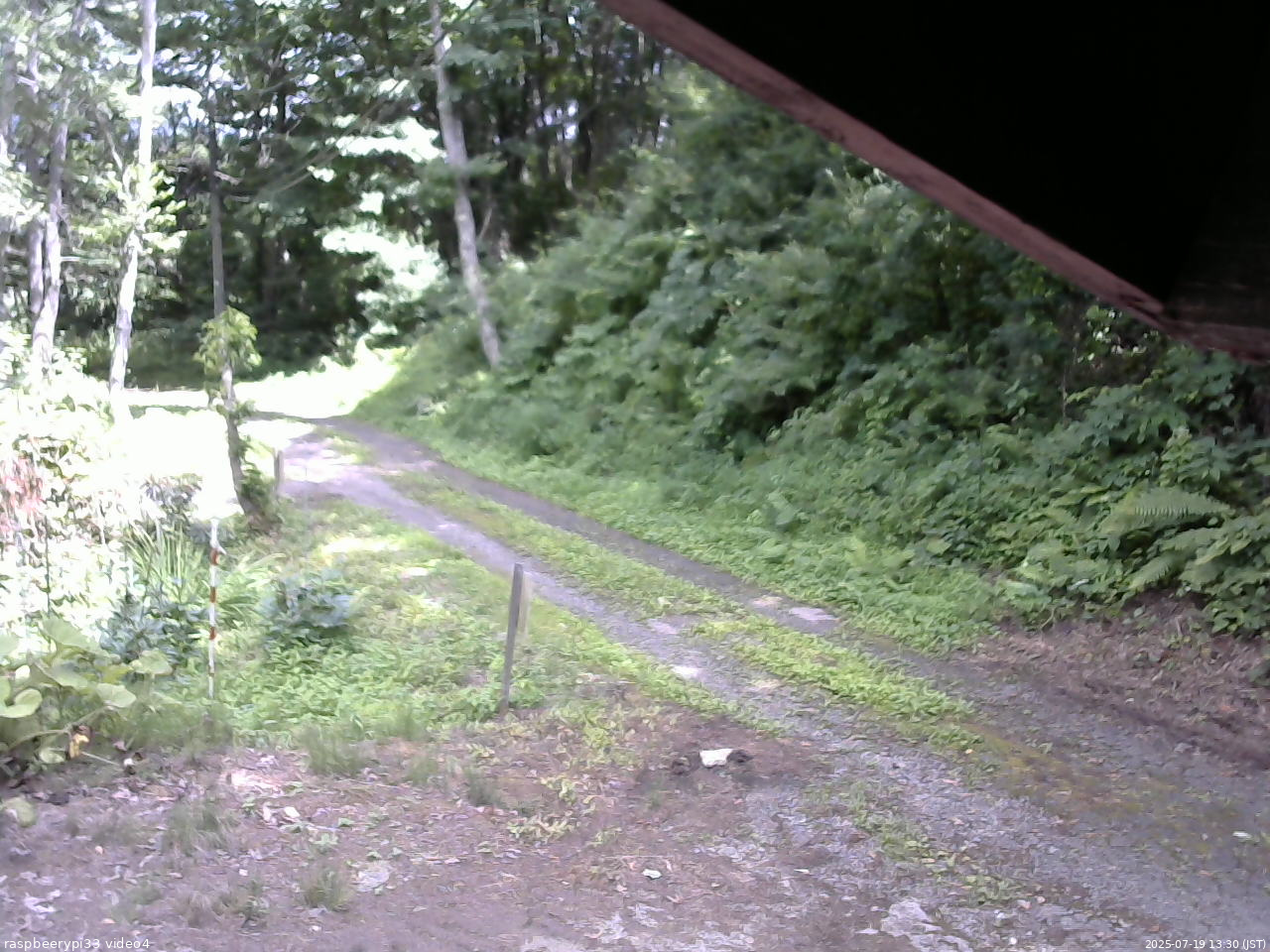 長野県菅平高原 ゆたか山荘 東側(坂下) 2025/07/19 13:30
