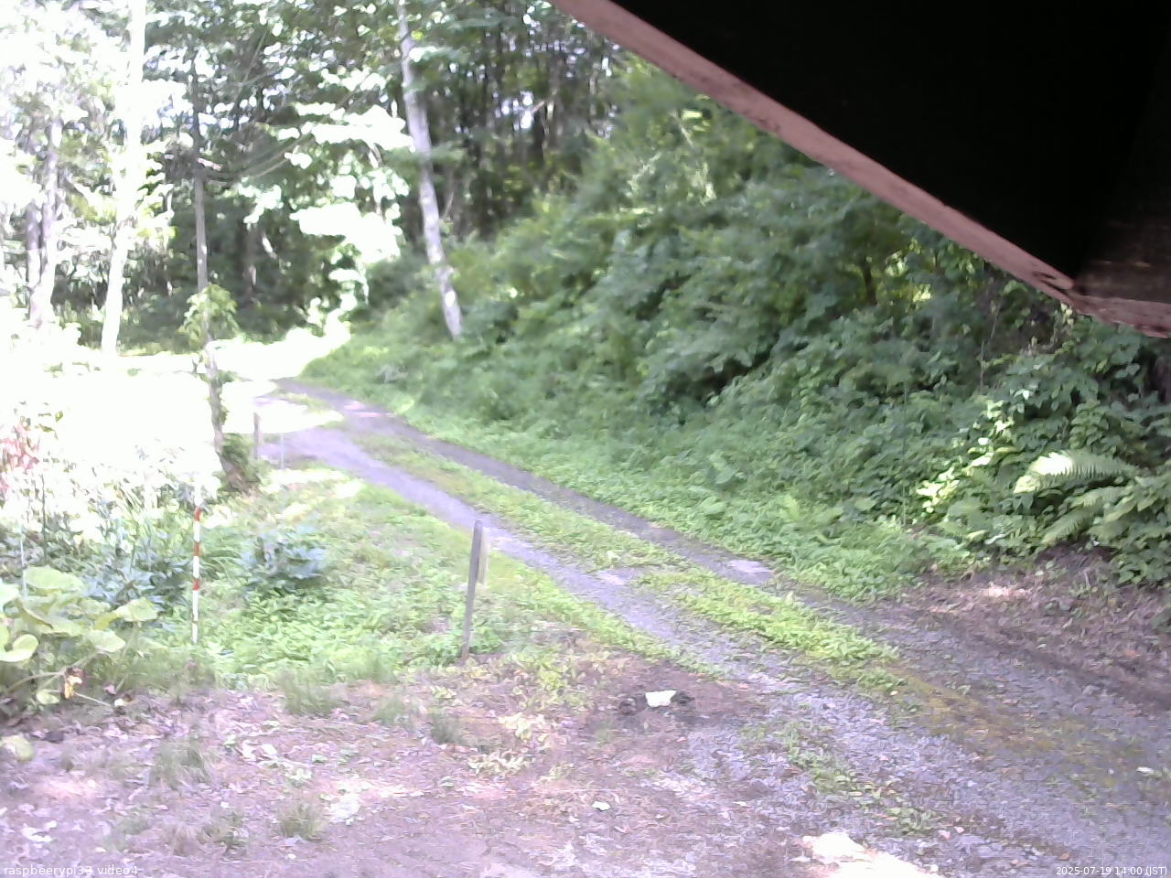 長野県菅平高原 ゆたか山荘 東側(坂下) 2025/07/19 14:00