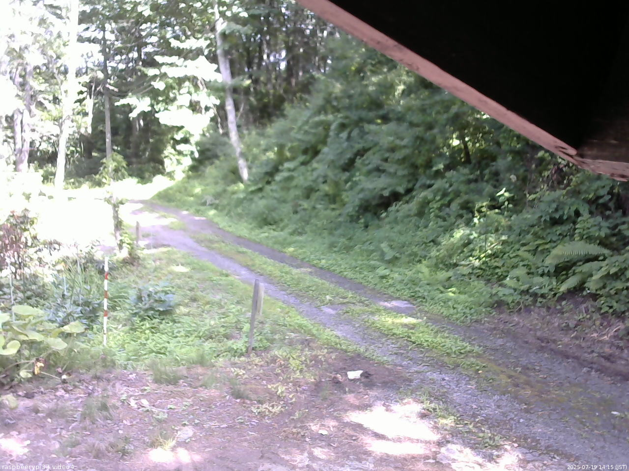 長野県菅平高原 ゆたか山荘 東側(坂下) 2025/07/19 14:15