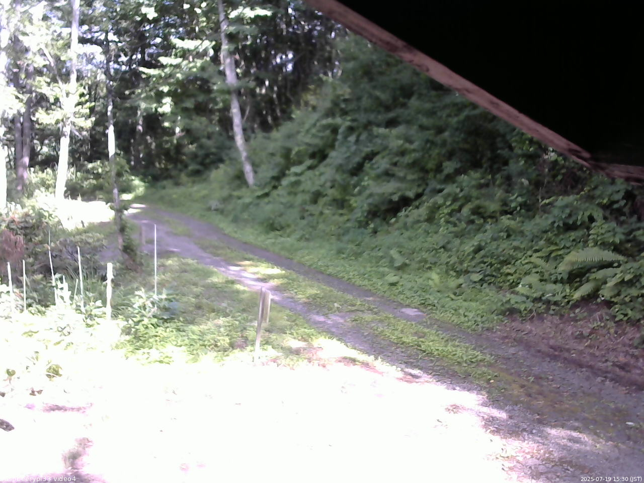 長野県菅平高原 ゆたか山荘 東側(坂下) 2025/07/19 15:30