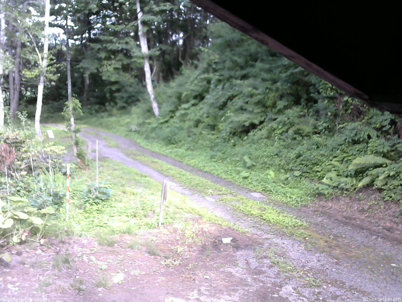 長野県菅平高原 ゆたか山荘 東側(坂下) 2025/07/19 16:00