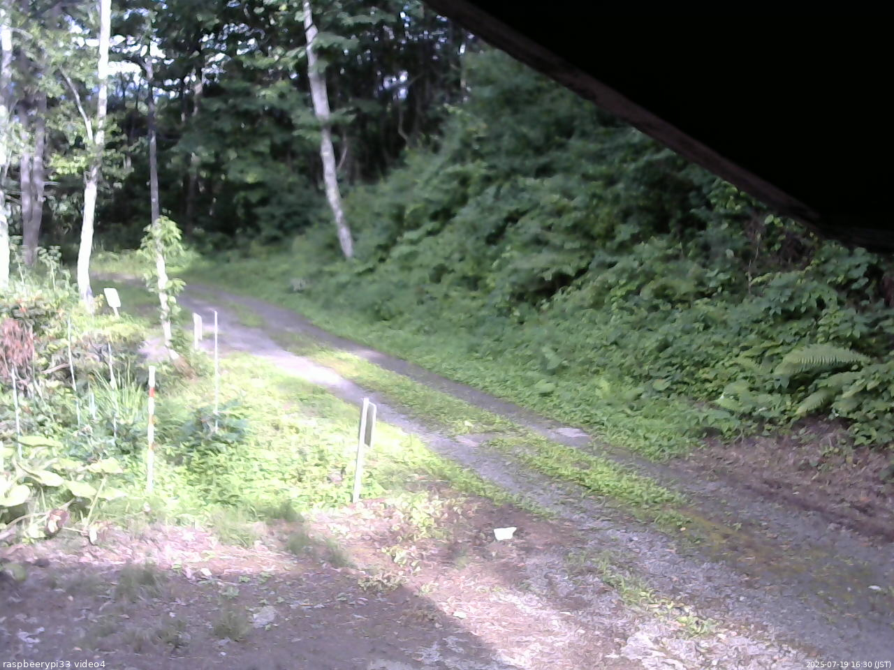長野県菅平高原 ゆたか山荘 東側(坂下) 2025/07/19 16:30