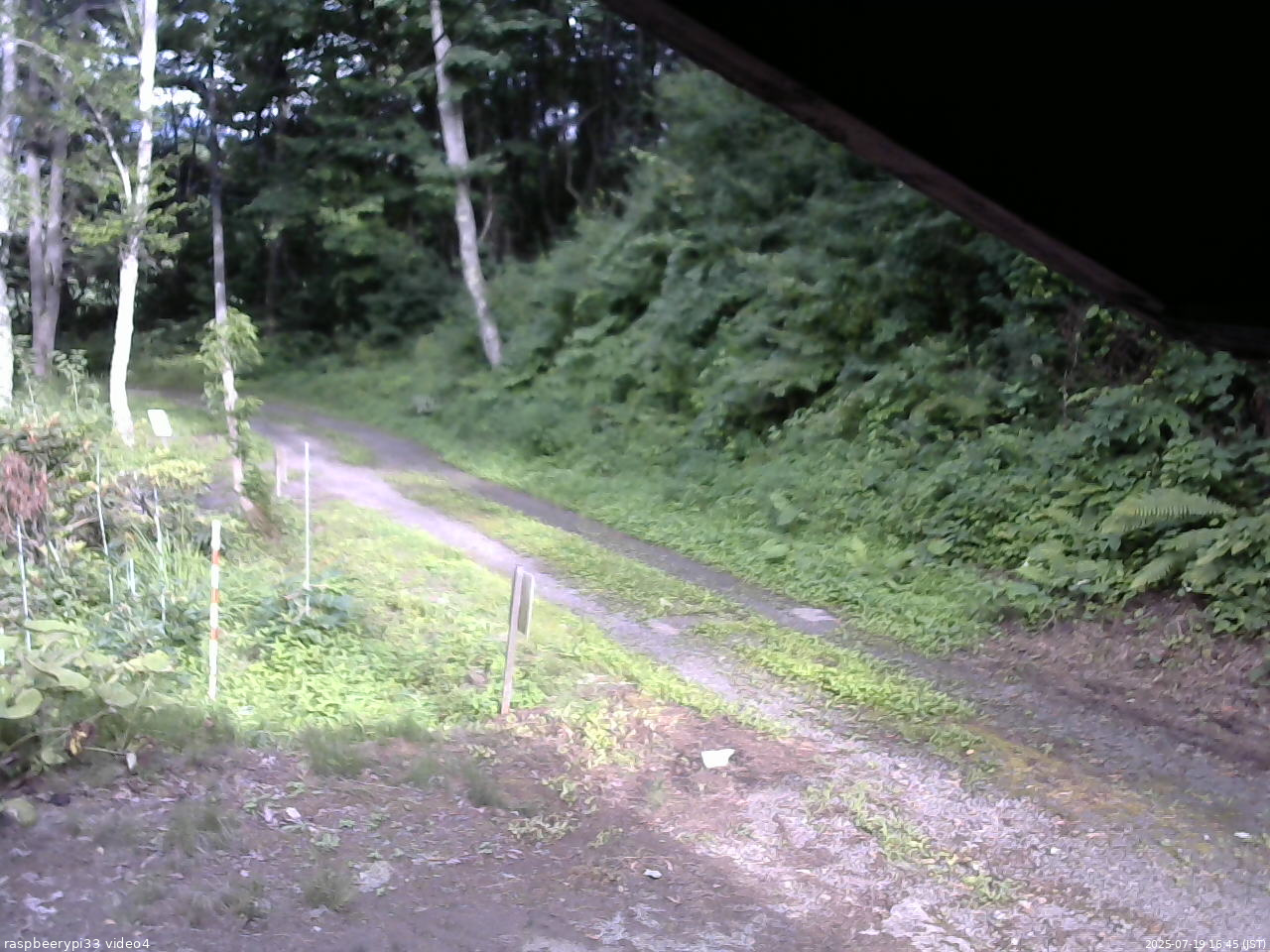長野県菅平高原 ゆたか山荘 東側(坂下) 2025/07/19 16:45