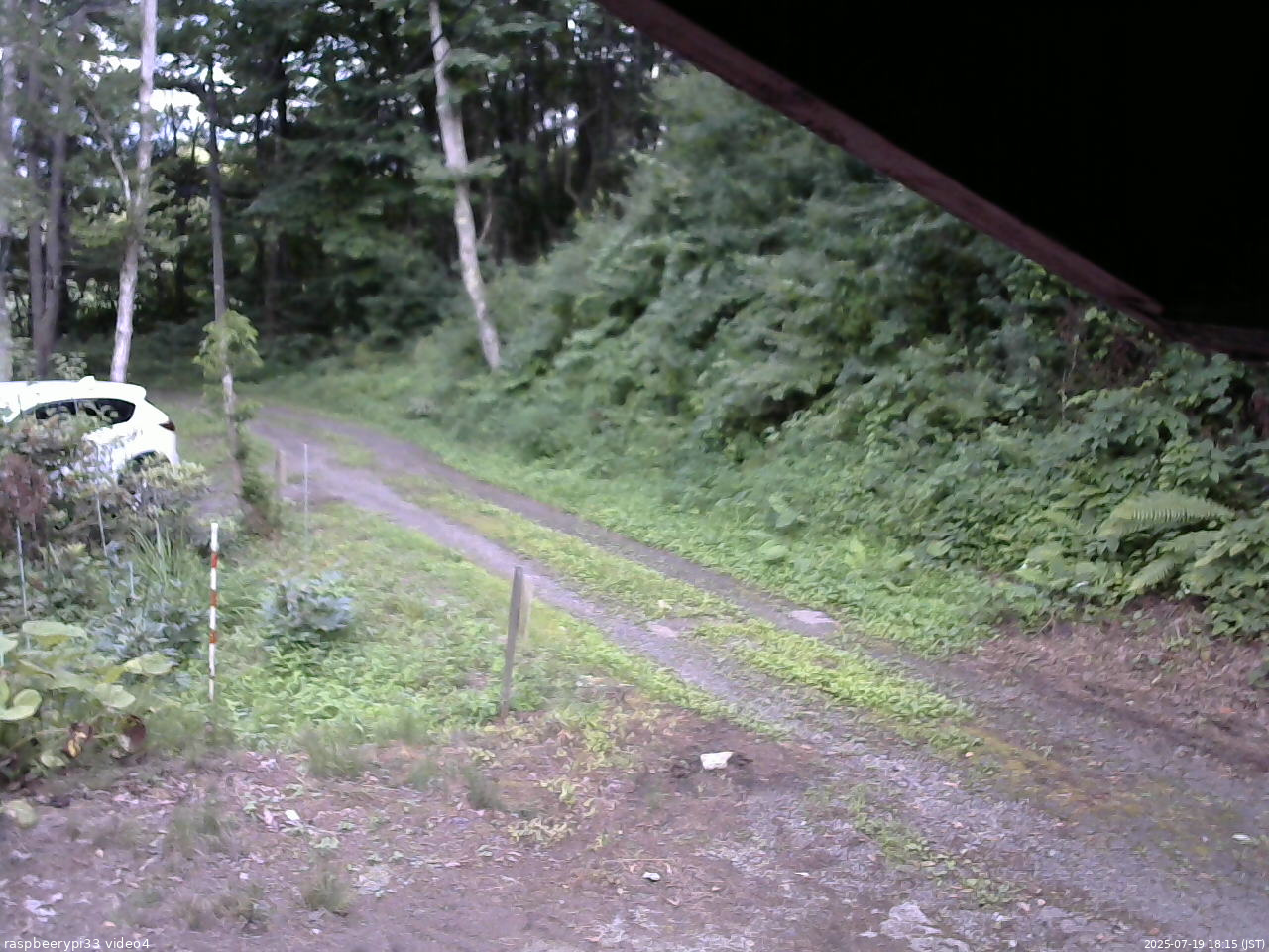 長野県菅平高原 ゆたか山荘 東側(坂下) 2025/07/19 18:15