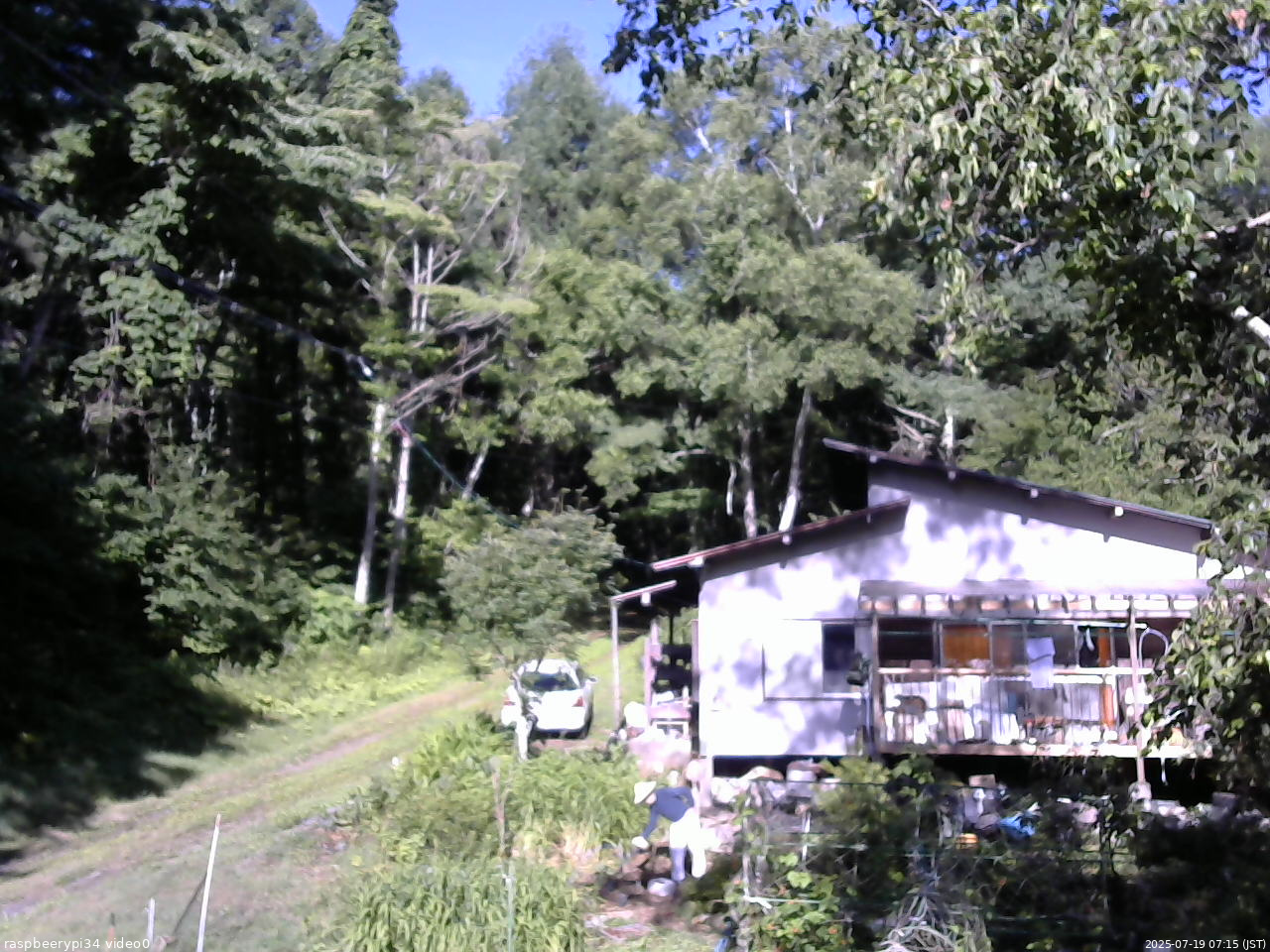 長野県菅平高原 ゆたか山荘 西側(坂上) 2025/07/19 07:15