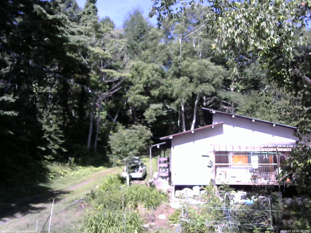 長野県菅平高原 ゆたか山荘 西側(坂上) 2025/07/19 08:30