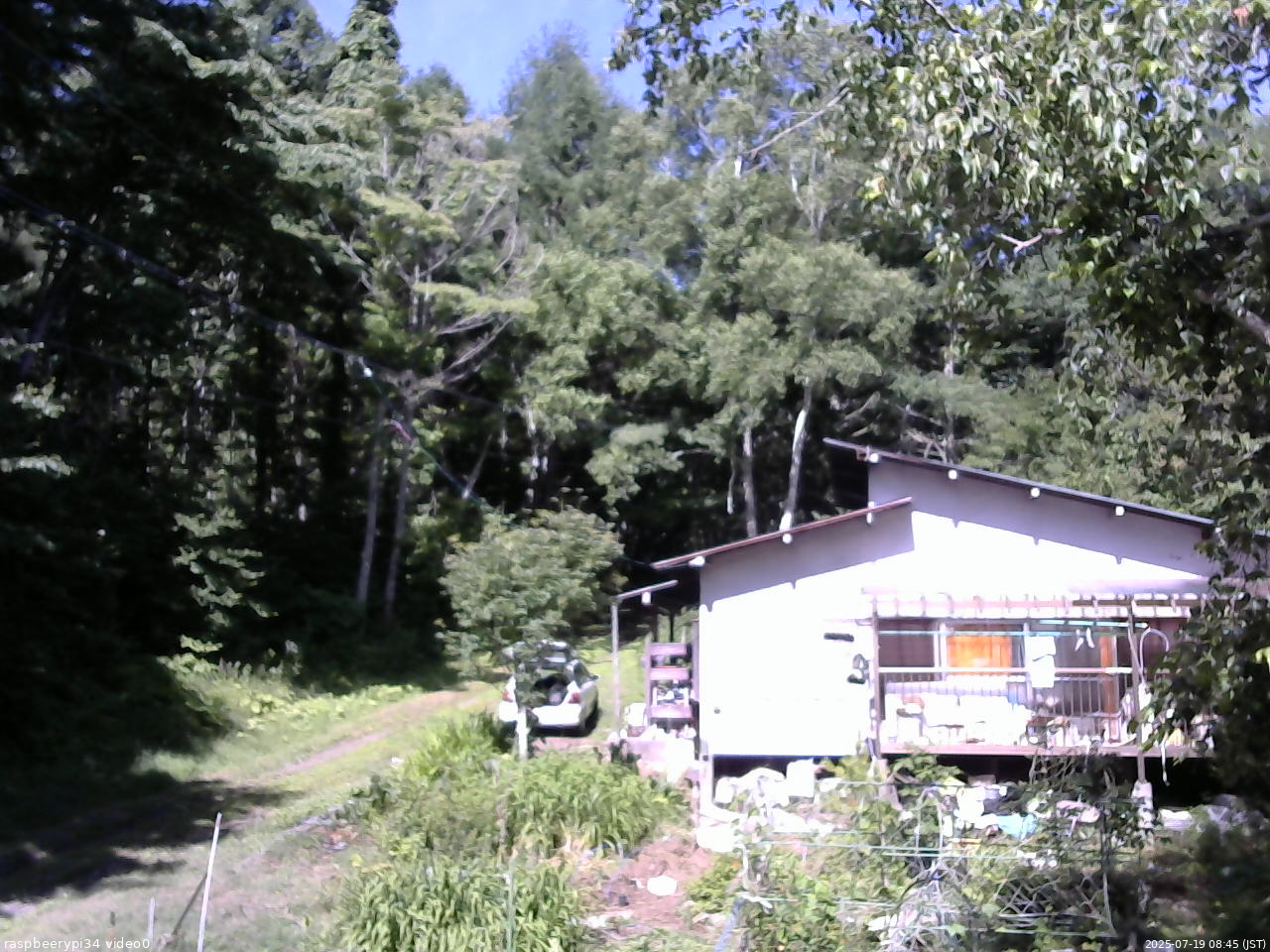 長野県菅平高原 ゆたか山荘 西側(坂上) 2025/07/19 08:45