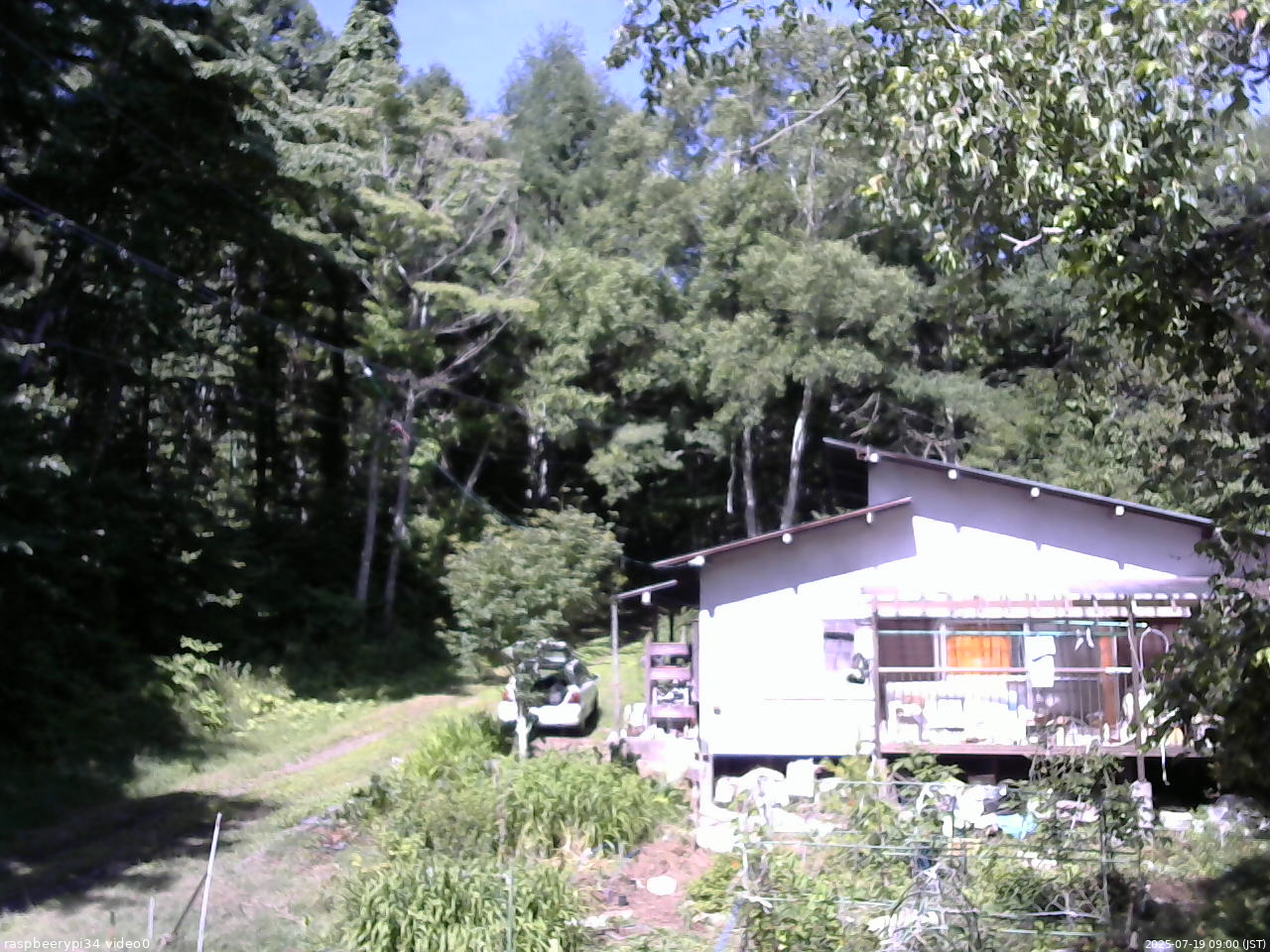 長野県菅平高原 ゆたか山荘 西側(坂上) 2025/07/19 09:00