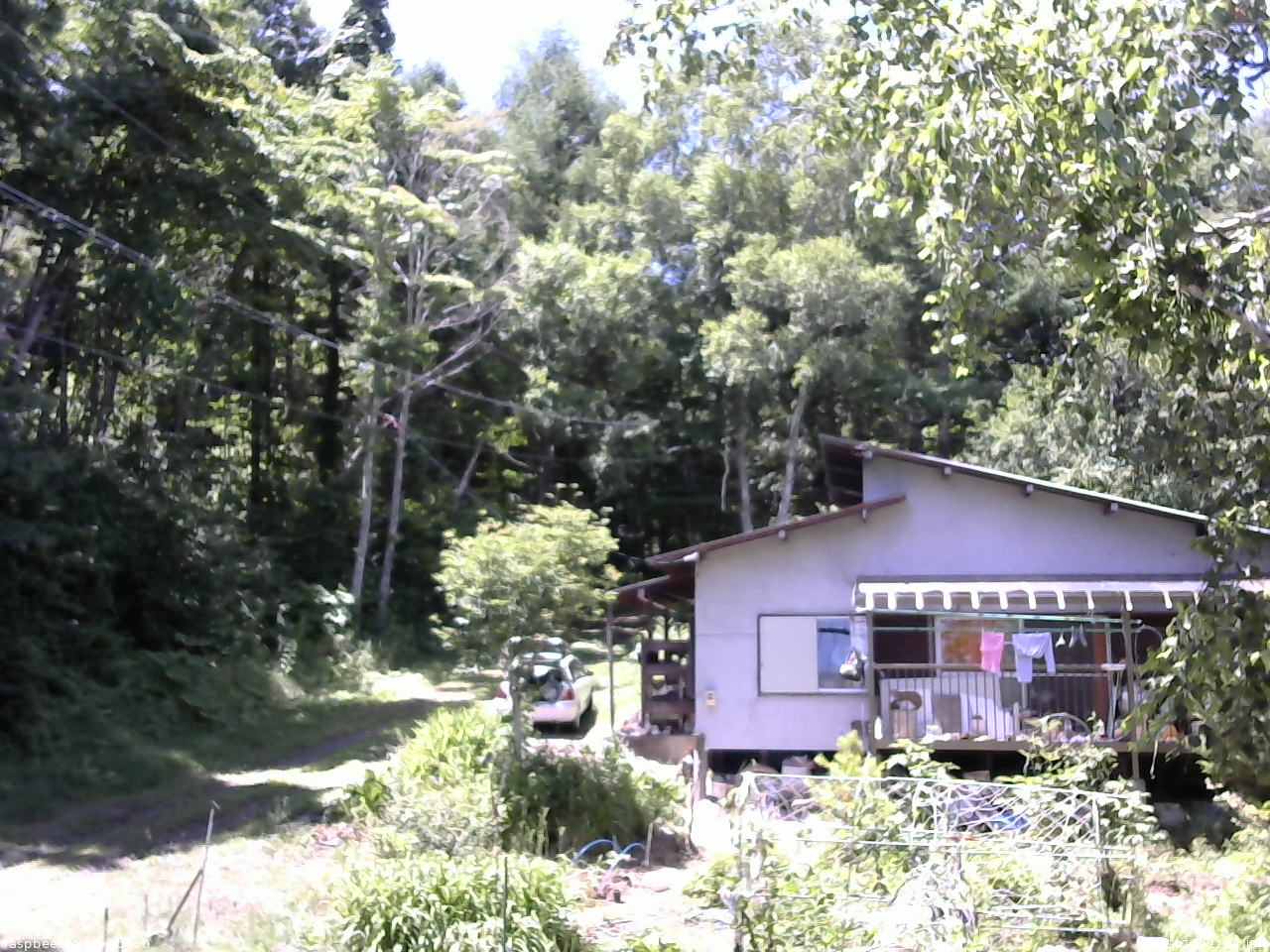 長野県菅平高原 ゆたか山荘 西側(坂上) 2025/07/19 12:00