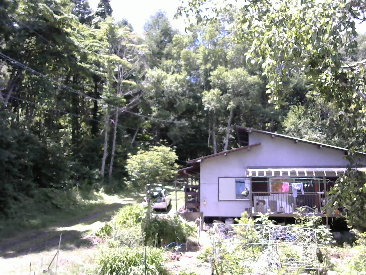 長野県菅平高原 ゆたか山荘 西側(坂上) 2025/07/19 12:15