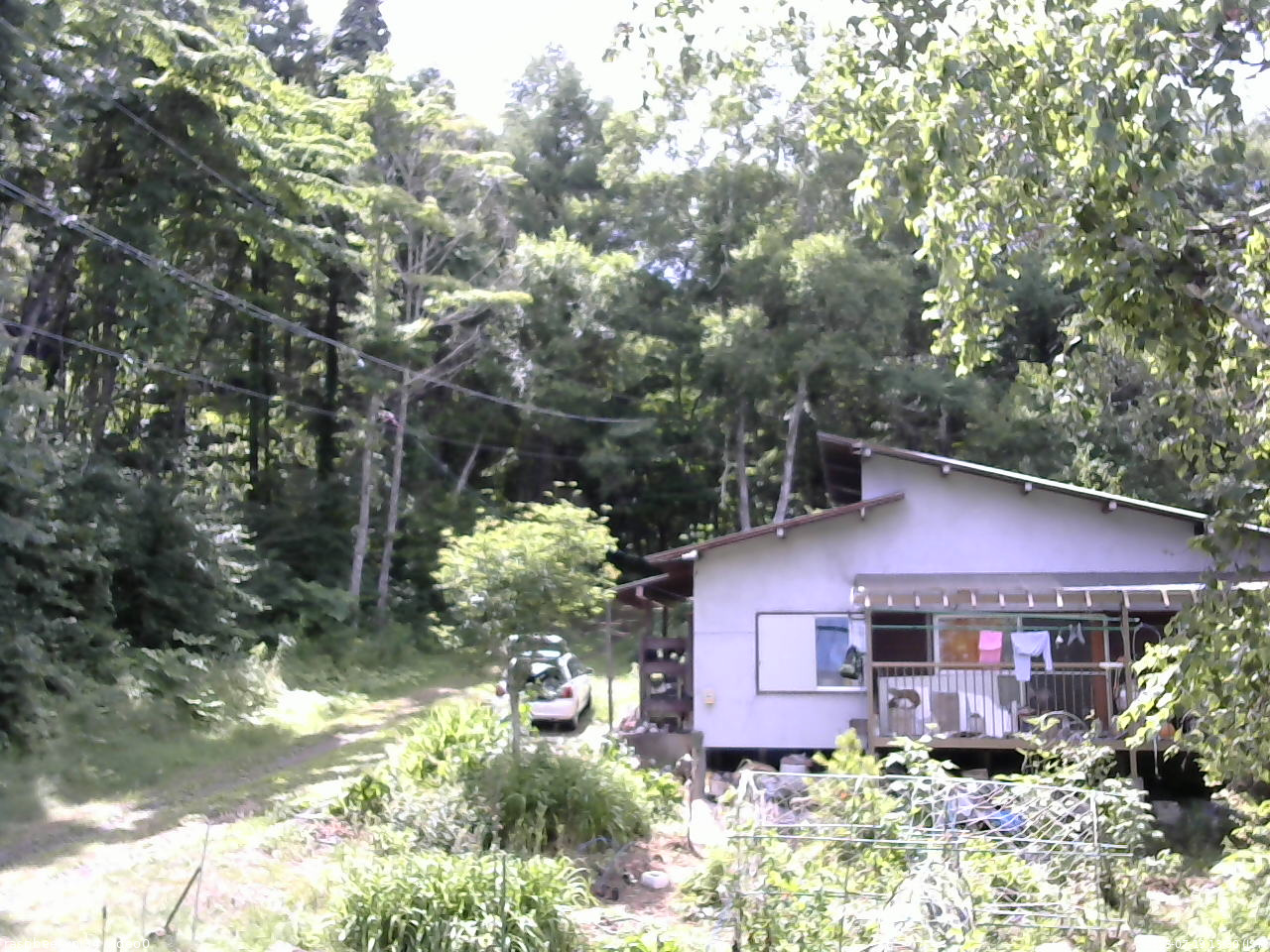 長野県菅平高原 ゆたか山荘 西側(坂上) 2025/07/19 13:30