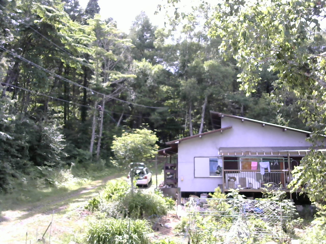 長野県菅平高原 ゆたか山荘 西側(坂上) 2025/07/19 13:45