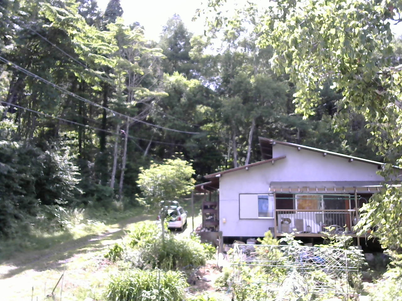 長野県菅平高原 ゆたか山荘 西側(坂上) 2025/07/19 14:00