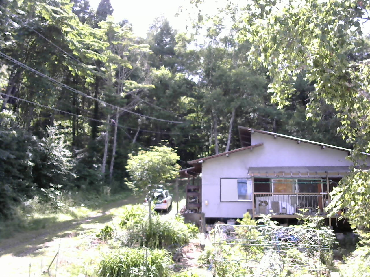 長野県菅平高原 ゆたか山荘 西側(坂上) 2025/07/19 14:15