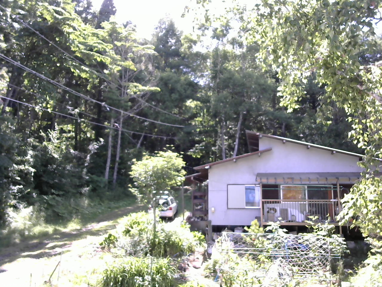 長野県菅平高原 ゆたか山荘 西側(坂上) 2025/07/19 14:45