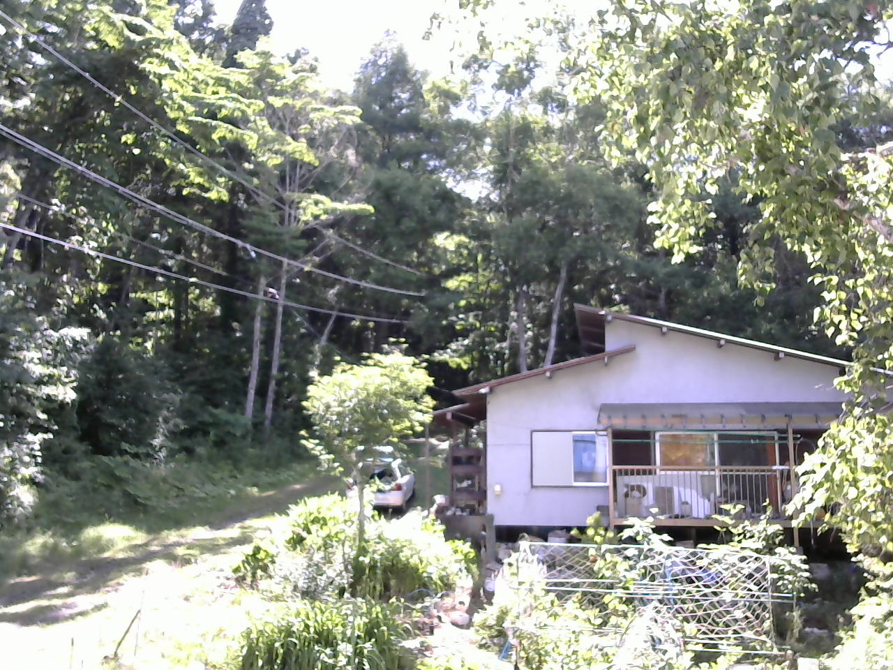 長野県菅平高原 ゆたか山荘 西側(坂上) 2025/07/19 15:00