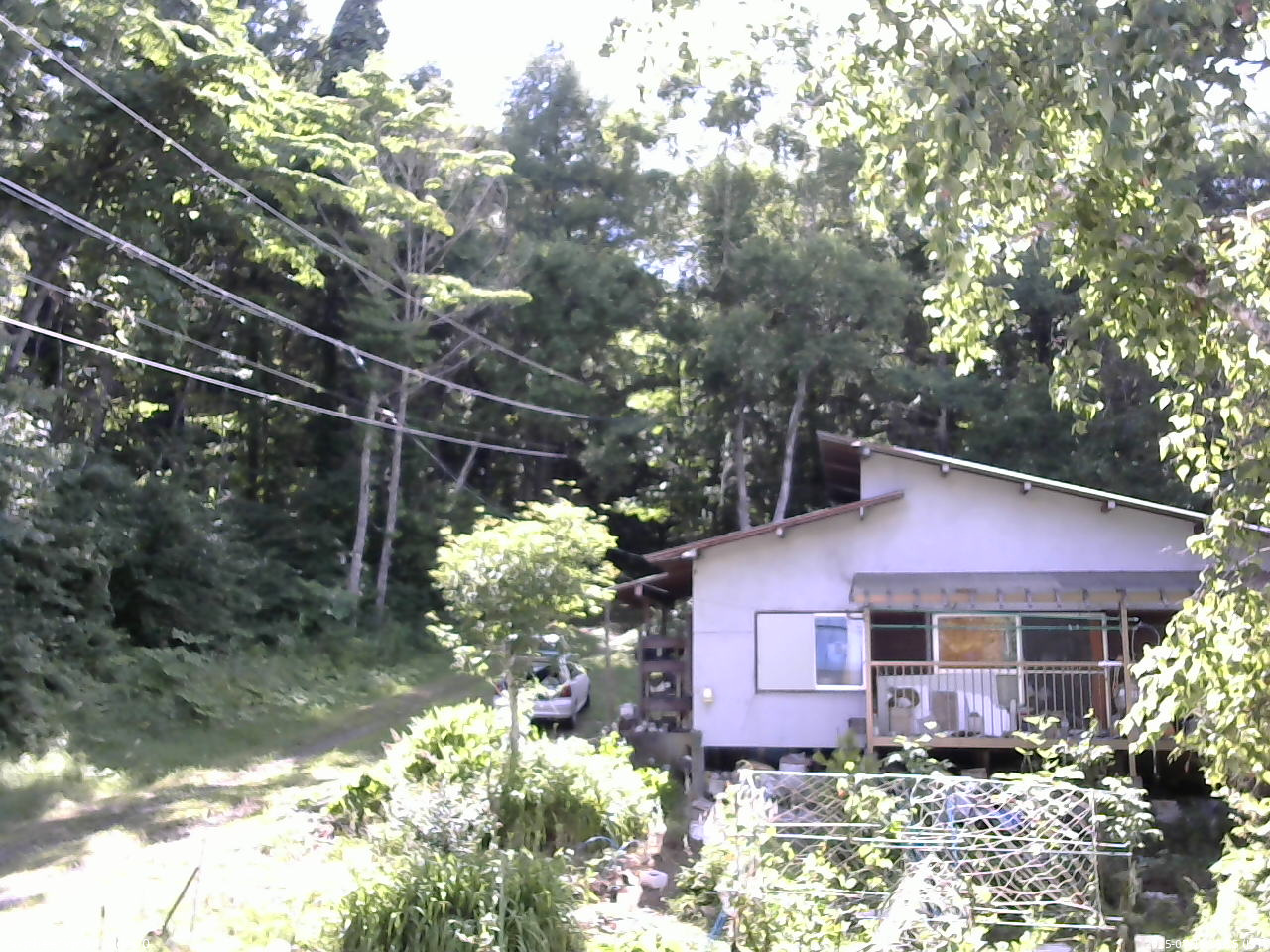 長野県菅平高原 ゆたか山荘 西側(坂上) 2025/07/19 15:15