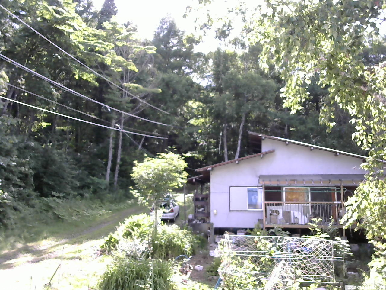長野県菅平高原 ゆたか山荘 西側(坂上) 2025/07/19 15:30