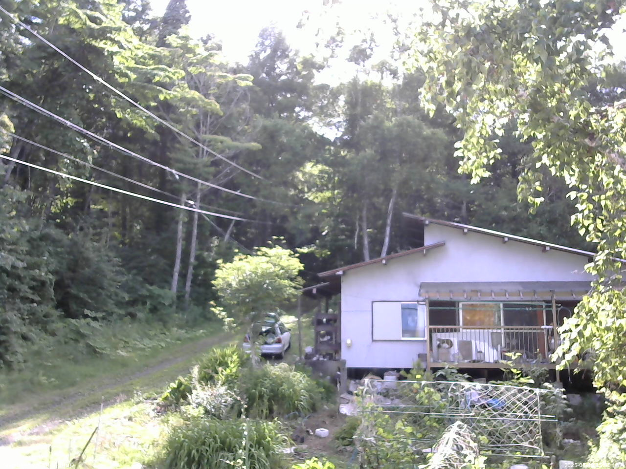 長野県菅平高原 ゆたか山荘 西側(坂上) 2025/07/19 15:45