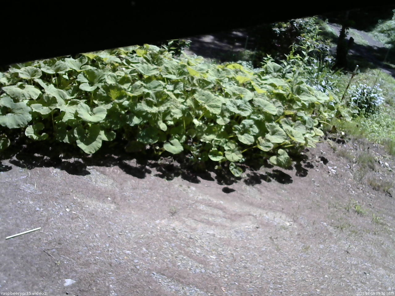 長野県菅平高原 ゆたか山荘 駐車場 2025/07/19 09:30