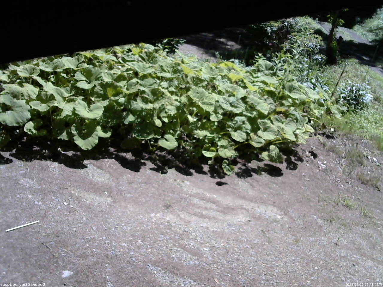 長野県菅平高原 ゆたか山荘 駐車場 2025/07/19 09:45