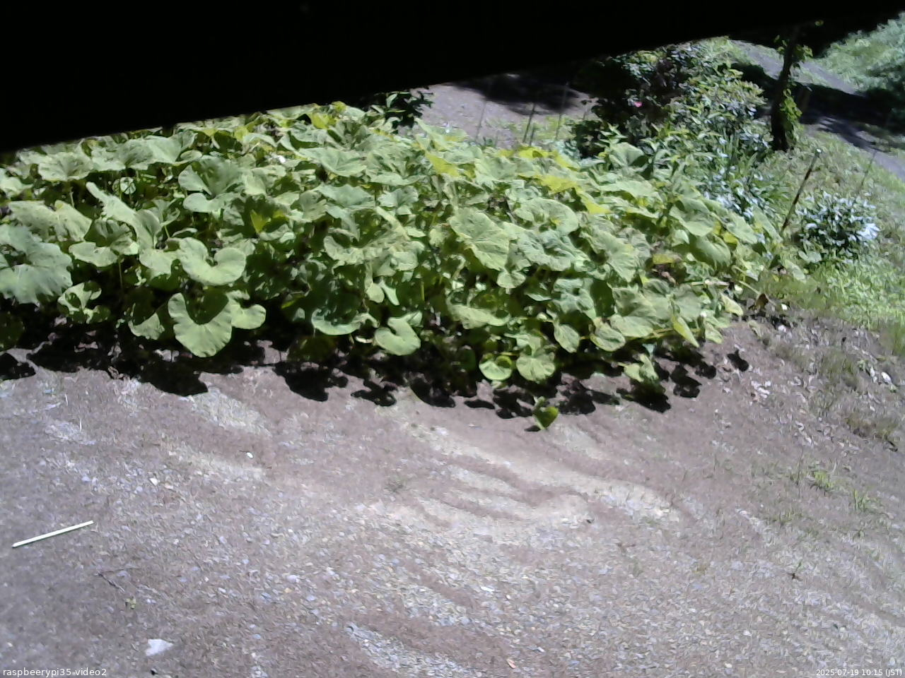 長野県菅平高原 ゆたか山荘 駐車場 2025/07/19 10:15