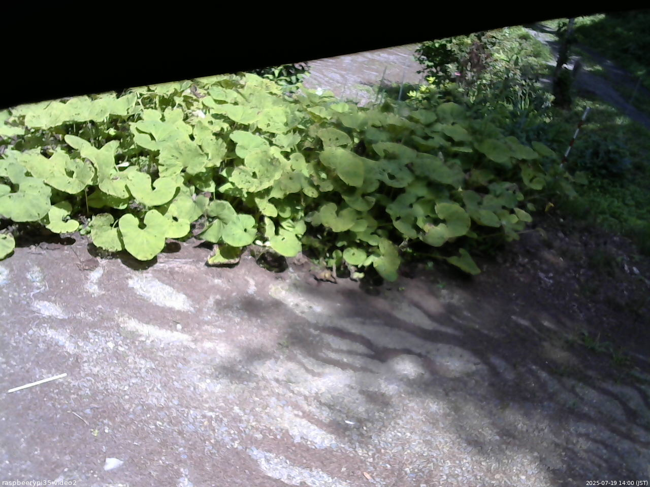 長野県菅平高原 ゆたか山荘 駐車場 2025/07/19 14:00