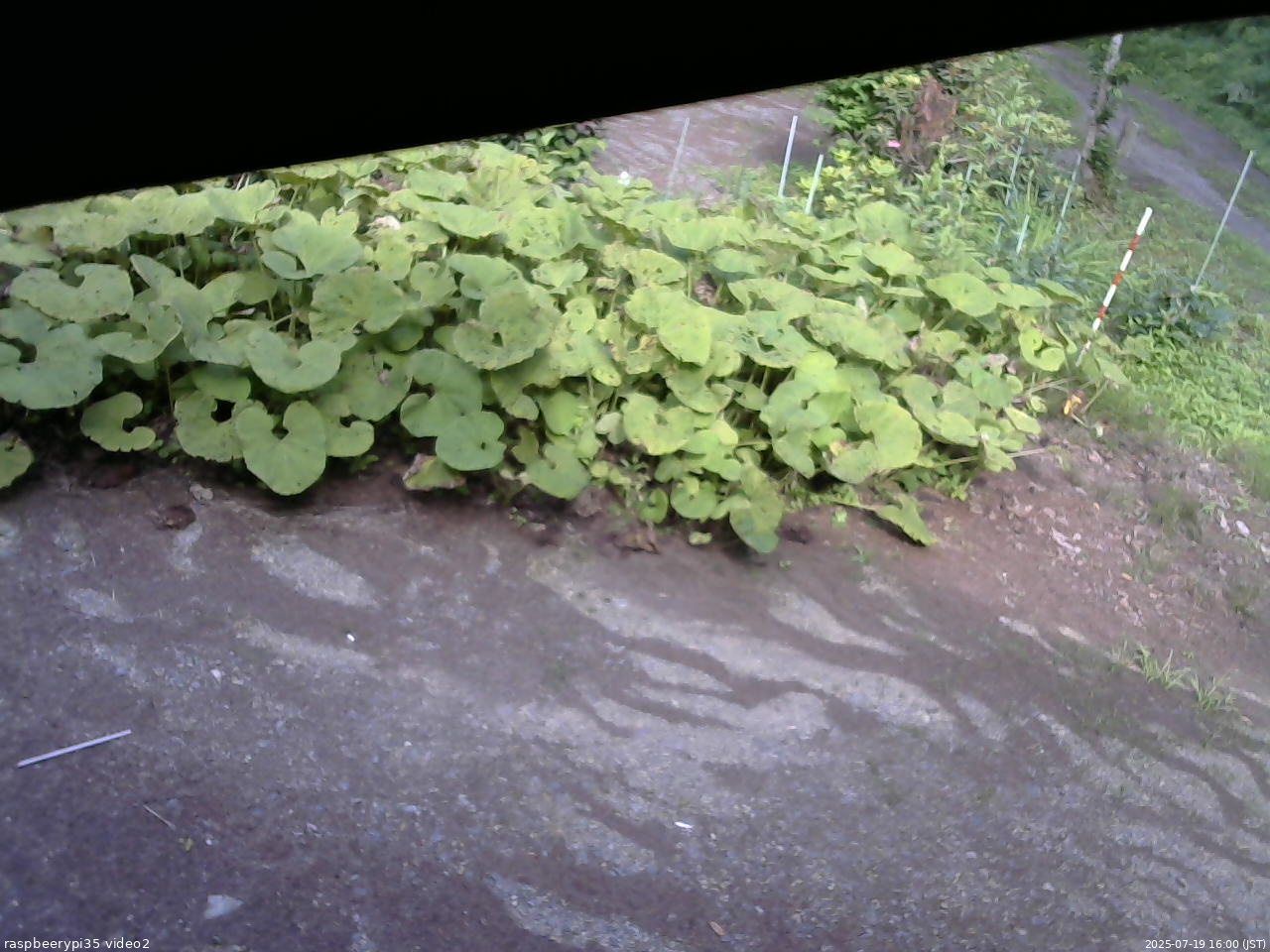 長野県菅平高原 ゆたか山荘 駐車場 2025/07/19 16:00