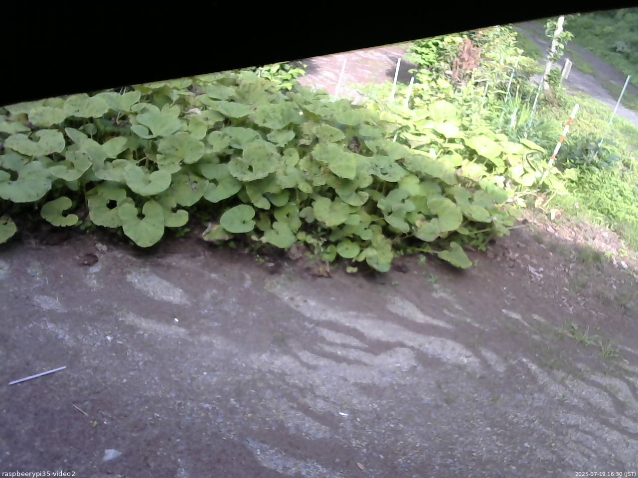 長野県菅平高原 ゆたか山荘 駐車場 2025/07/19 16:30