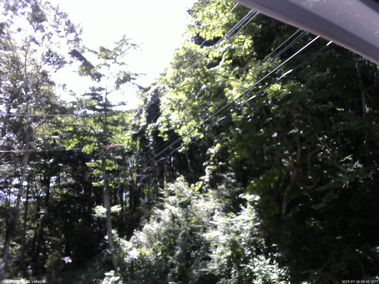 長野県菅平高原 ゆたか山荘 東側上空 2025/07/19 08:45