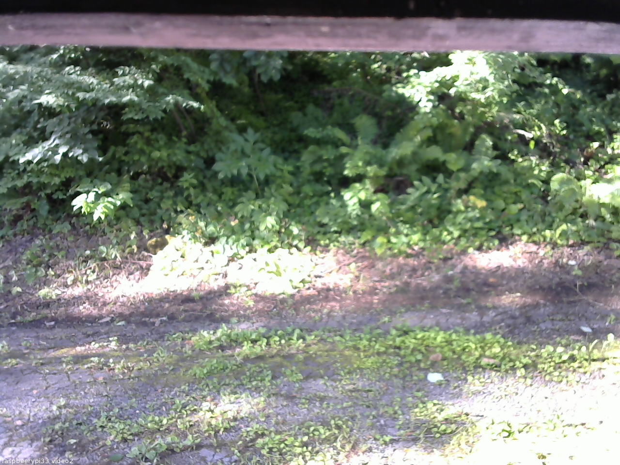 長野県菅平高原 ゆたか山荘 南側 2025/07/20 07:15