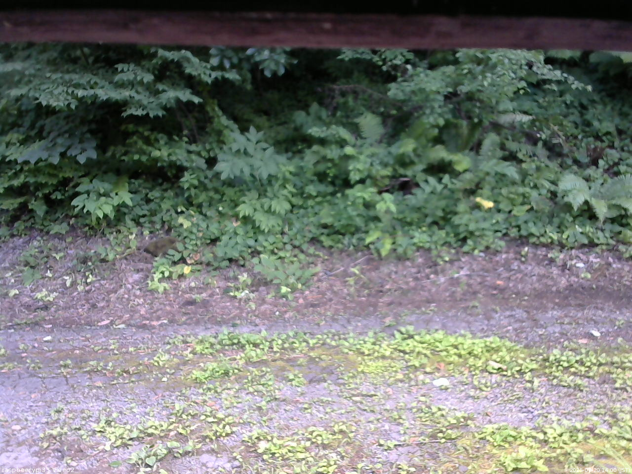 長野県菅平高原 ゆたか山荘 南側 2025/07/20 14:00