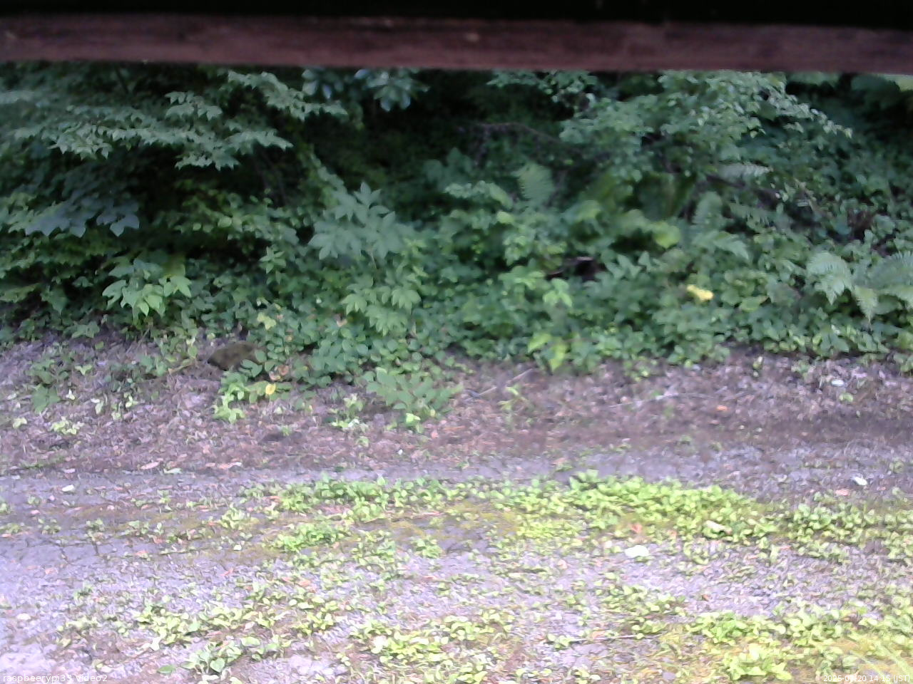 長野県菅平高原 ゆたか山荘 南側 2025/07/20 14:15