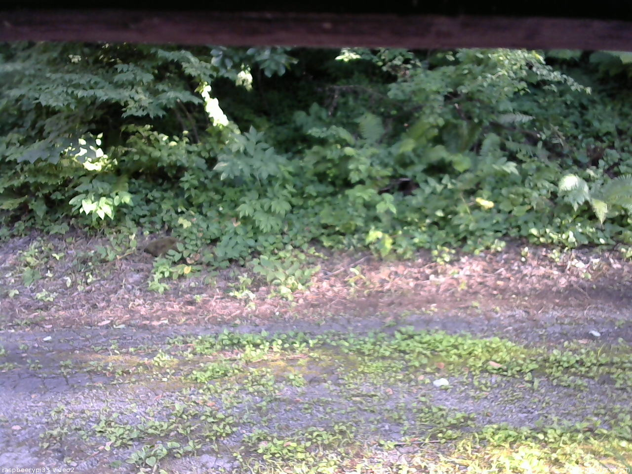 長野県菅平高原 ゆたか山荘 南側 2025/07/20 17:00