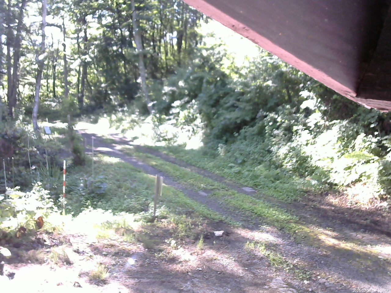 長野県菅平高原 ゆたか山荘 東側(坂下) 2025/07/20 07:30