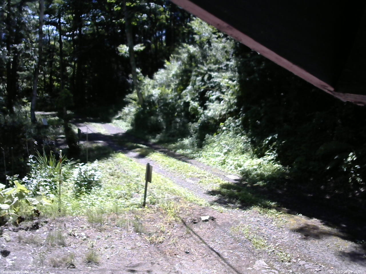長野県菅平高原 ゆたか山荘 東側(坂下) 2025/07/20 09:15