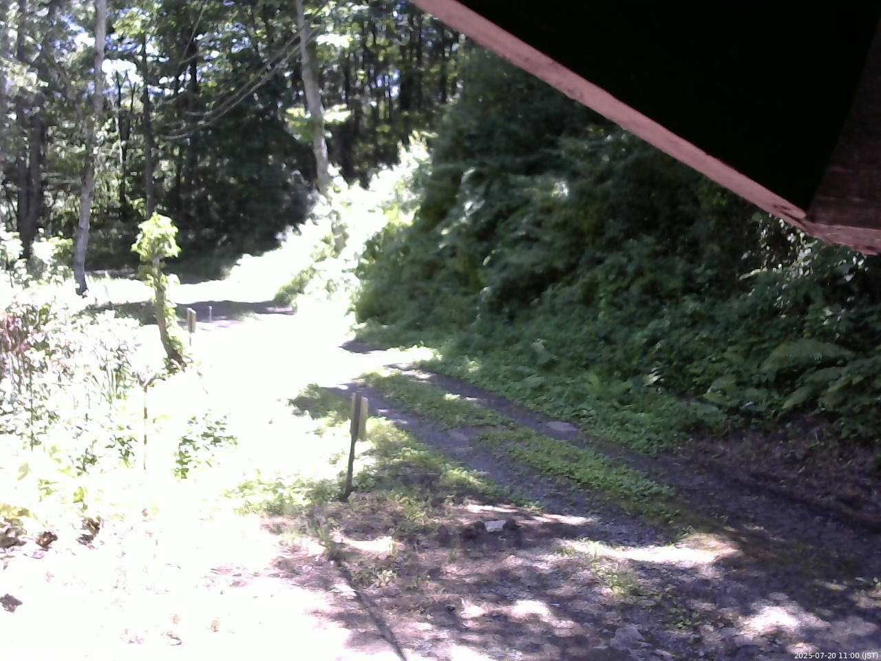 長野県菅平高原 ゆたか山荘 東側(坂下) 2025/07/20 11:00
