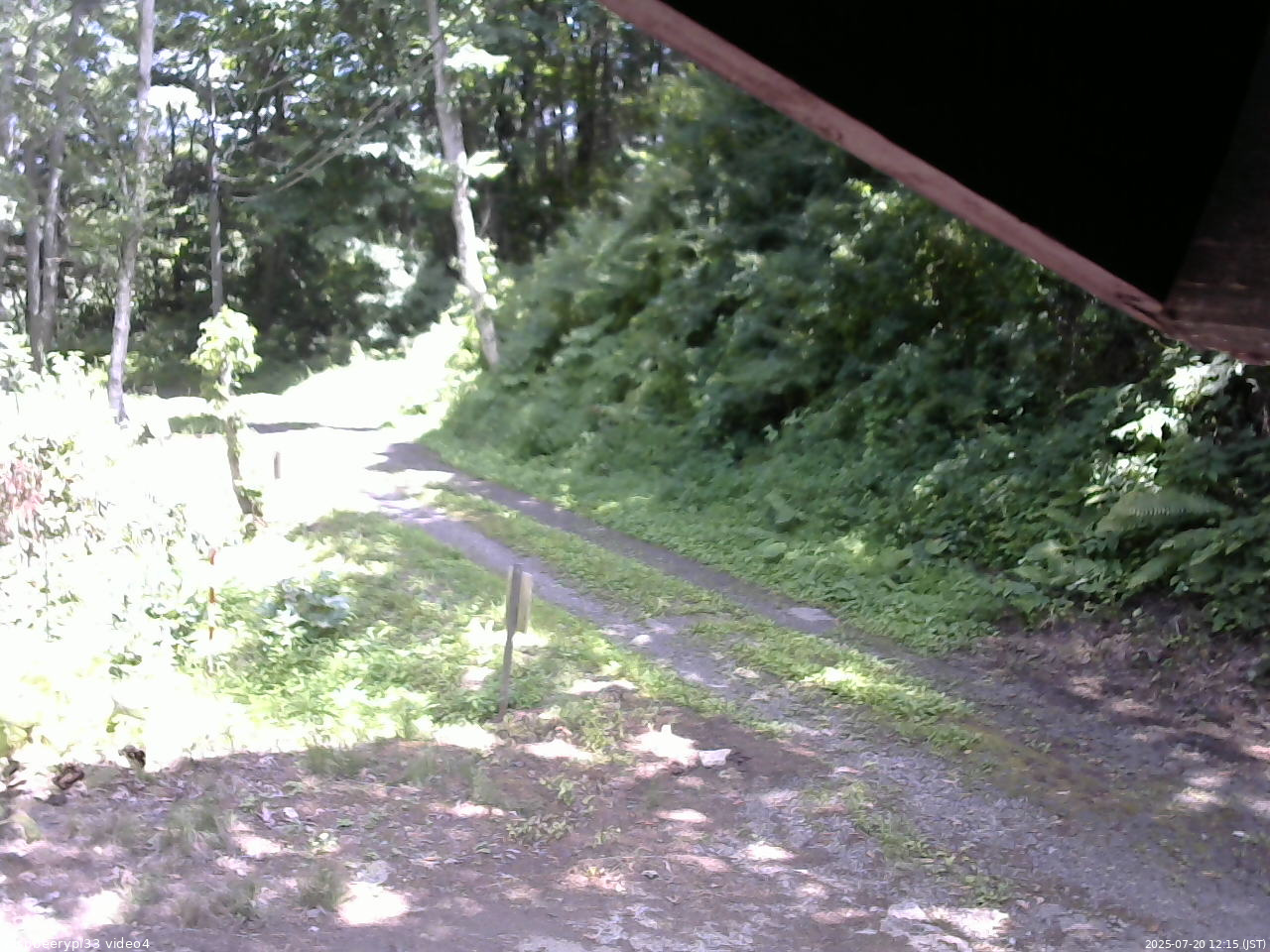 長野県菅平高原 ゆたか山荘 東側(坂下) 2025/07/20 12:15
