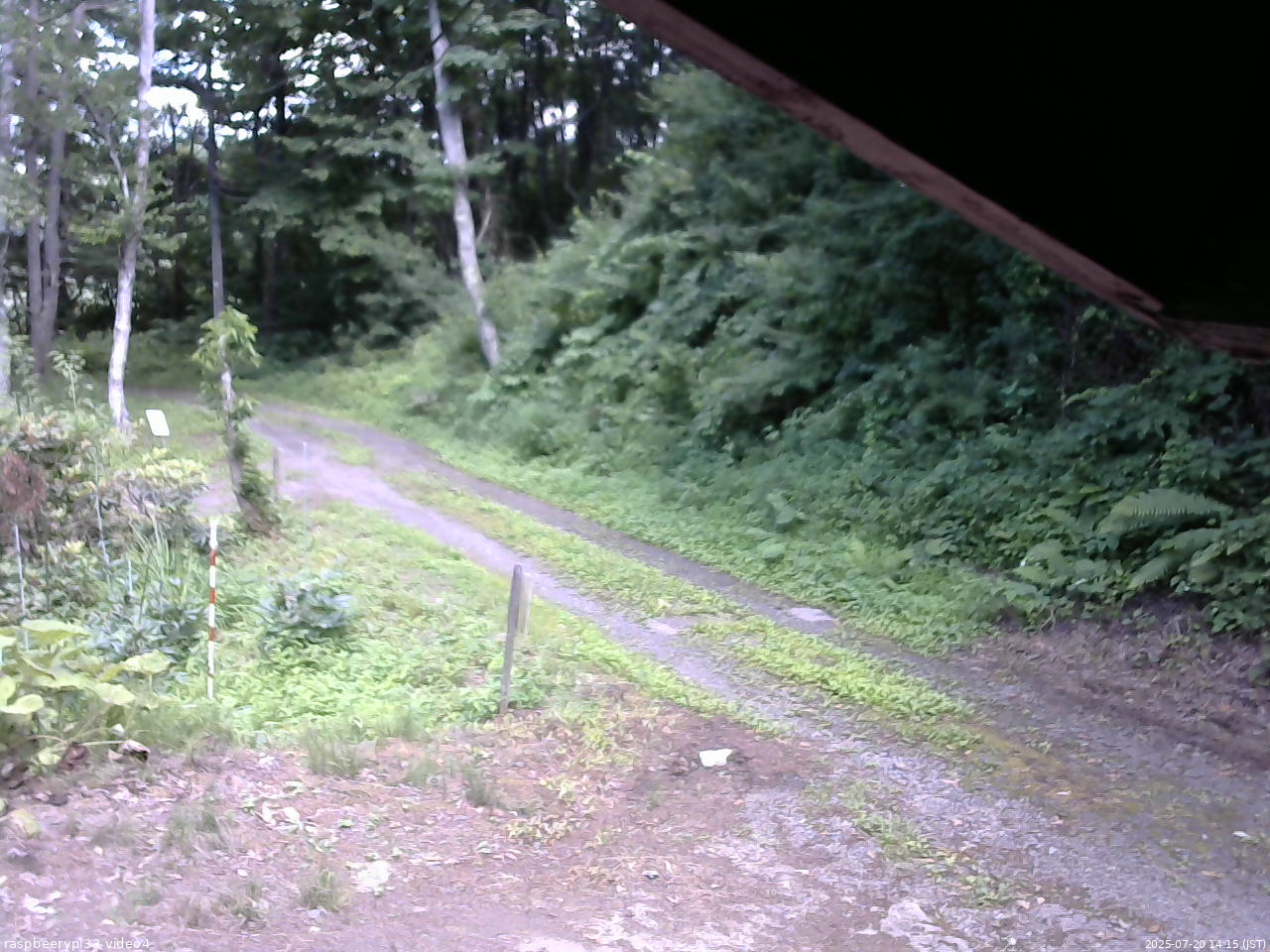 長野県菅平高原 ゆたか山荘 東側(坂下) 2025/07/20 14:15