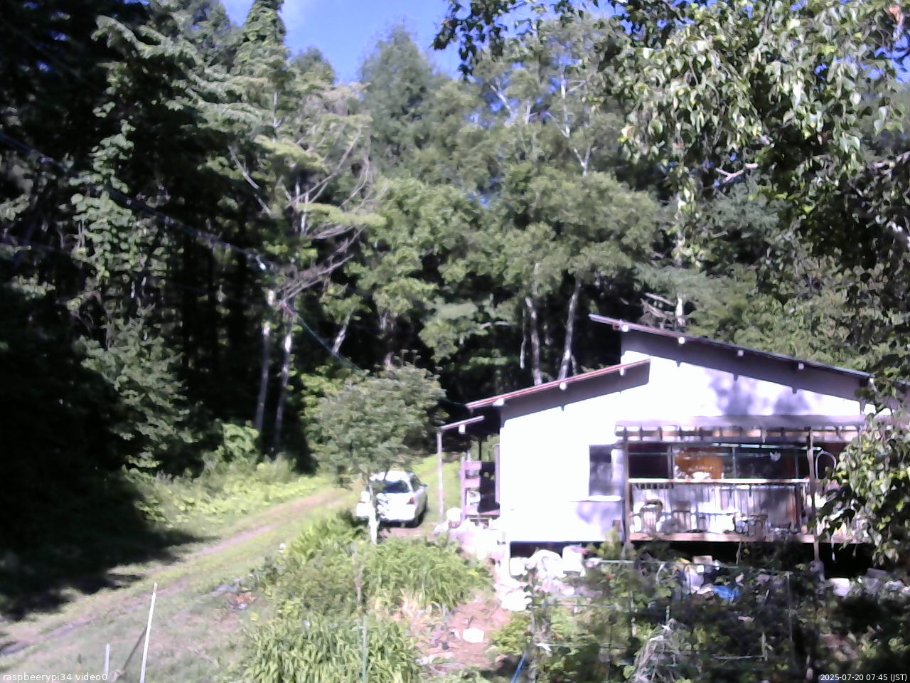 長野県菅平高原 ゆたか山荘 西側(坂上) 2025/07/20 07:45