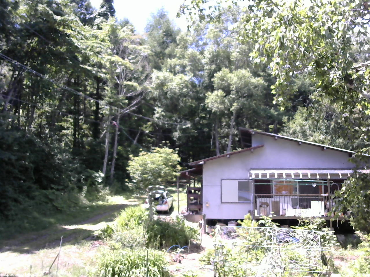 長野県菅平高原 ゆたか山荘 西側(坂上) 2025/07/20 12:00