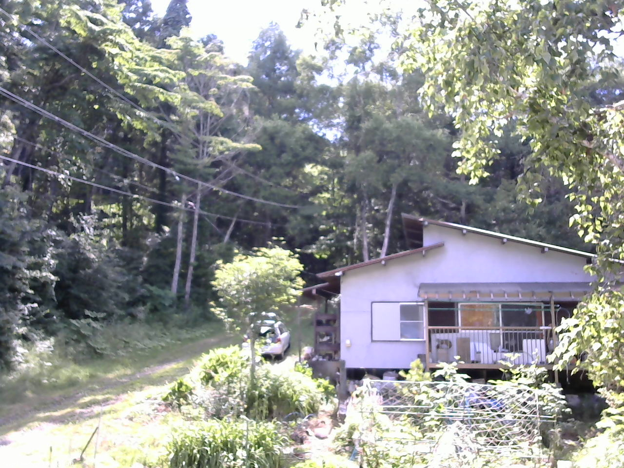 長野県菅平高原 ゆたか山荘 西側(坂上) 2025/07/20 14:45