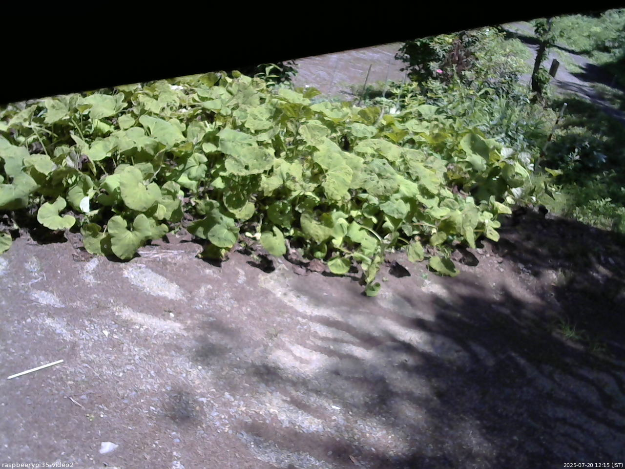 長野県菅平高原 ゆたか山荘 駐車場 2025/07/20 12:15