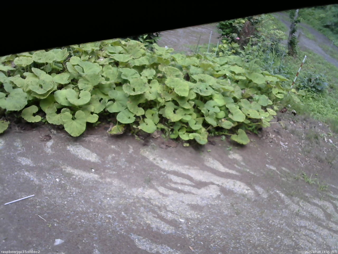 長野県菅平高原 ゆたか山荘 駐車場 2025/07/20 14:15