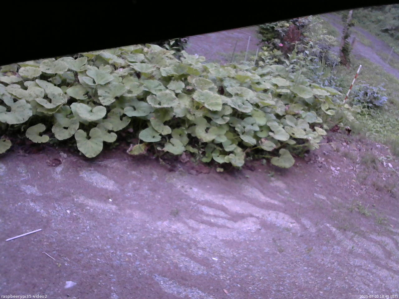 長野県菅平高原 ゆたか山荘 駐車場 2025/07/20 18:45
