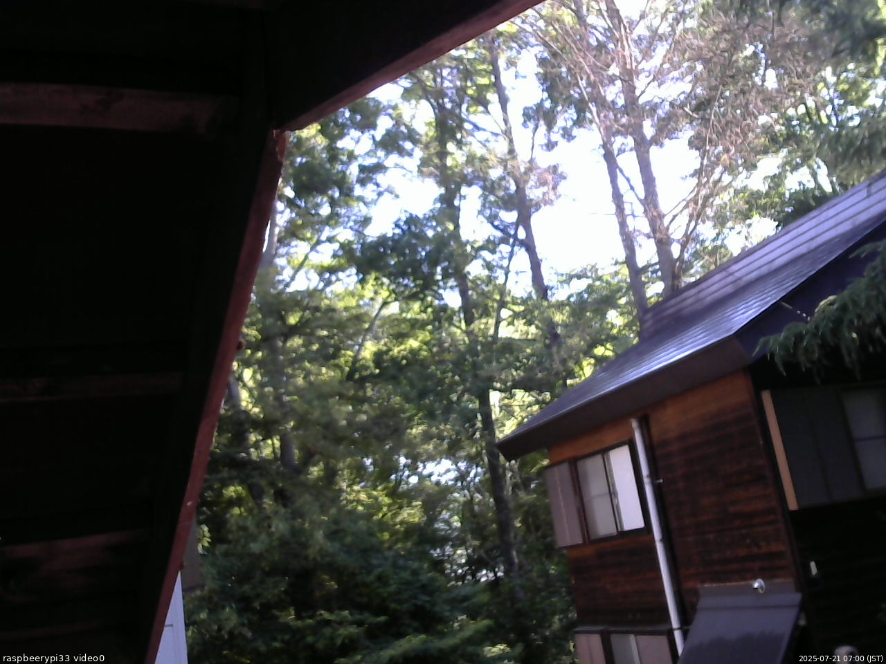 長野県菅平高原 ゆたか山荘 北側 2025/07/21 07:00